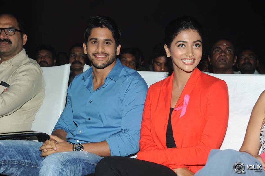Oka-Laila-Kosam-Movie-Audio-Success-Function